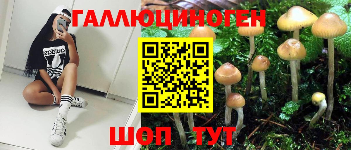 Тимашёвск  Псилоцибиновые грибы прущие грибы  Вход с VPN 