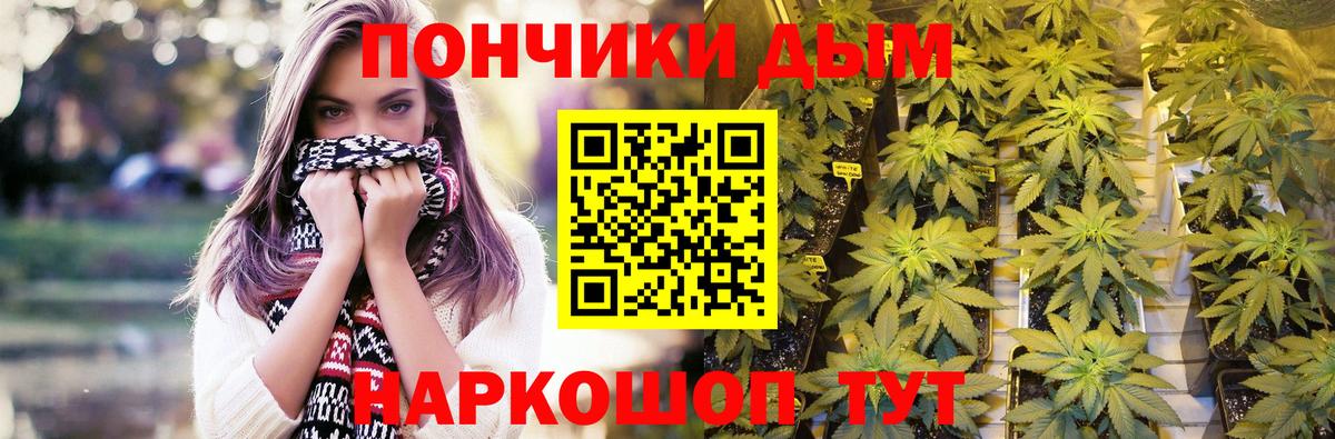 Канабис ГИДРОПОН  Бошки Шишки план  Вход с VPN  Тимашёвск 